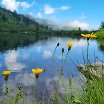 Waldherrhof * アイヒ