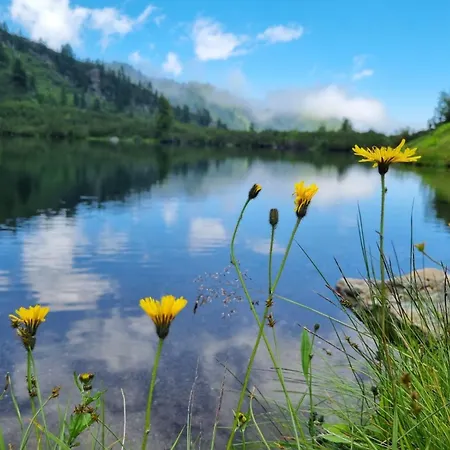 Waldherrhof * Aich (Styria)