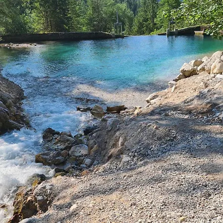 Waldherrhof ファームステイ アイヒ