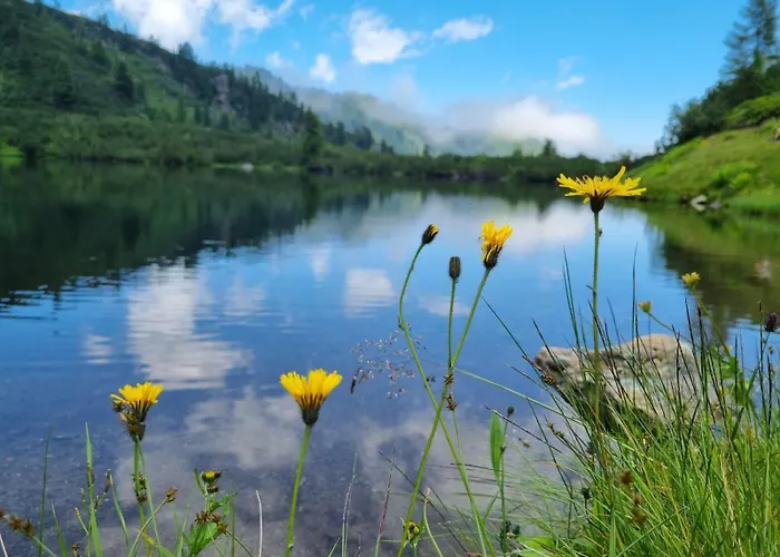 Waldherrhof * Aich (Styria)